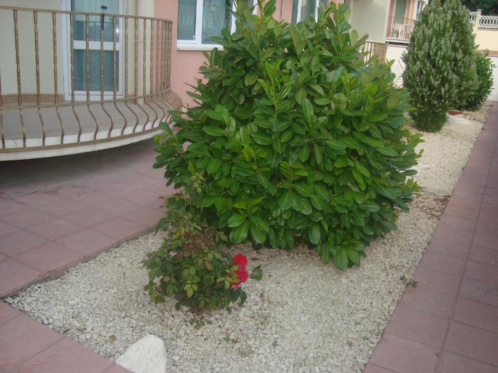 Apartment А13 In Sea Paradise Complex Kavarna Exterior photo
